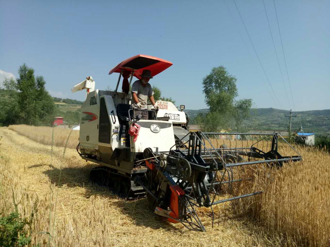 mmexport1500345080878.jpg