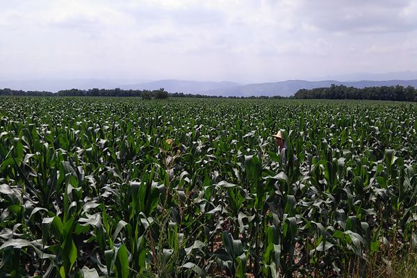 IMG20170719110043_副本.jpg